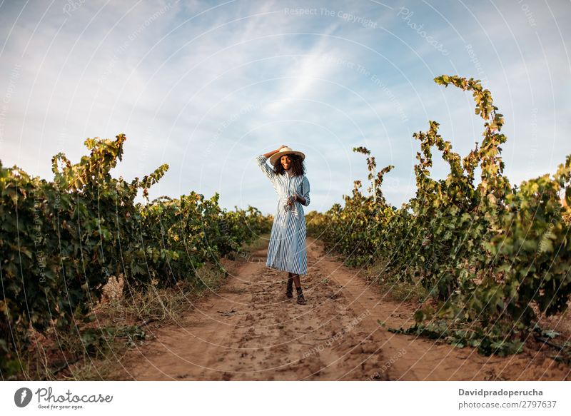 Young woman walking in a path in the middle of a vineyard Winery Vineyard Woman Bunch of grapes Walking Organic Lanes & trails Harvest Happy Agriculture Green