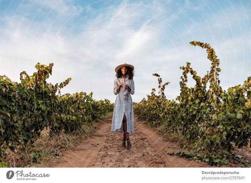 Young woman walking in a path in the middle of a vineyard Winery Vineyard Woman Bunch of grapes Walking Organic Lanes & trails Harvest Happy Agriculture Green