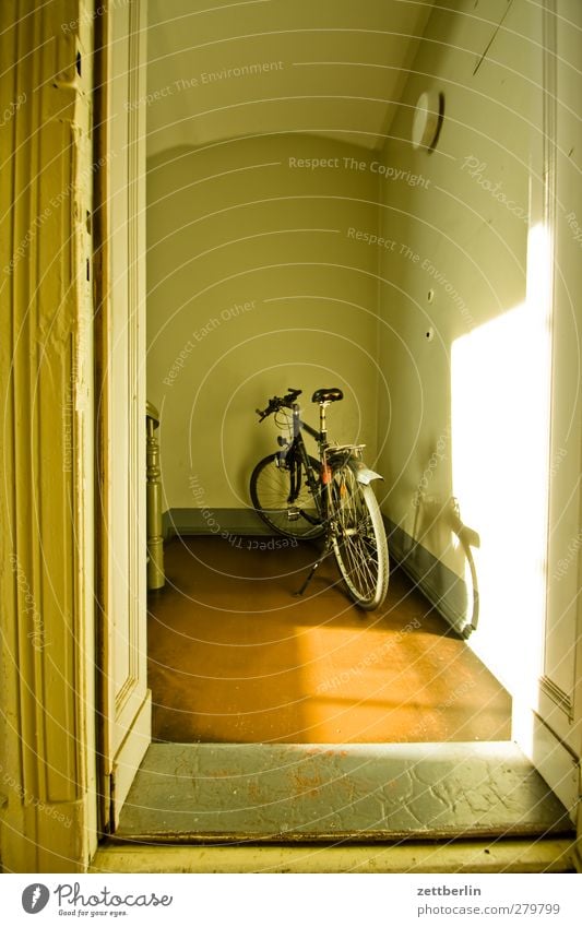 bicycle Lifestyle Leisure and hobbies Vacation & Travel Trip Living or residing Flat (apartment) Interior design Room Cycling Wall (barrier) Wall (building)