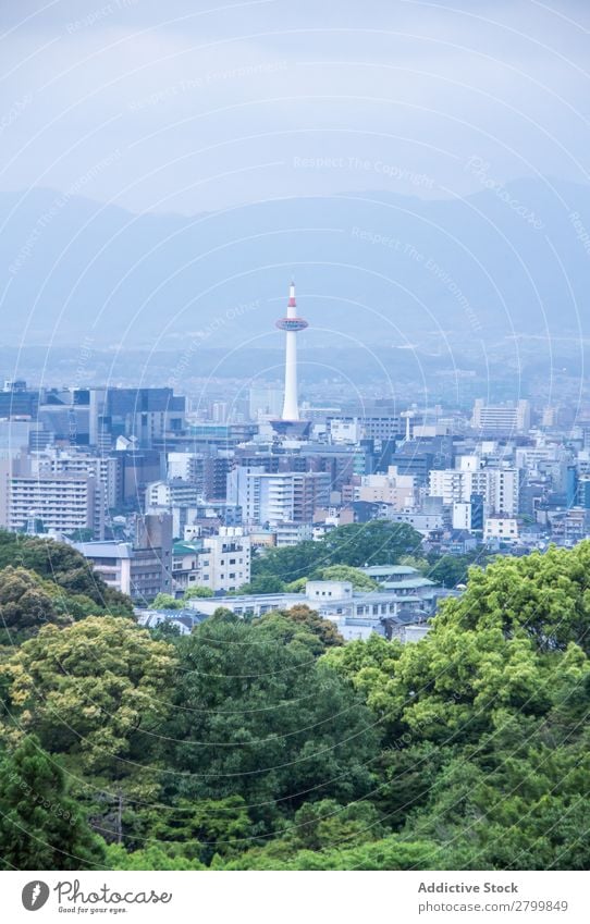View of forest and modern city City Forest Japan Modern Tree Green Sky Asia Town Architecture Vacation & Travel Trip Tourism Skyline Building High-rise