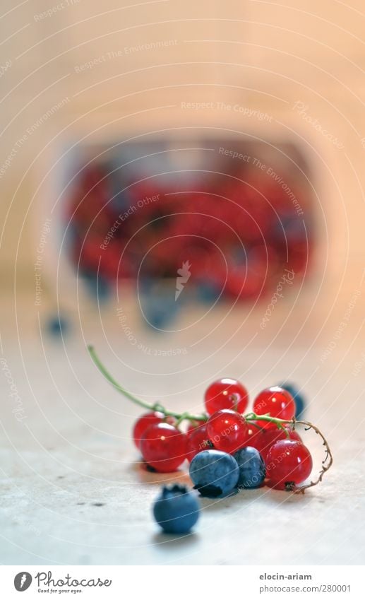 berry season Fruit Nutrition Healthy Berries Versatile Blue-red Colour photo Interior shot Close-up Artificial light