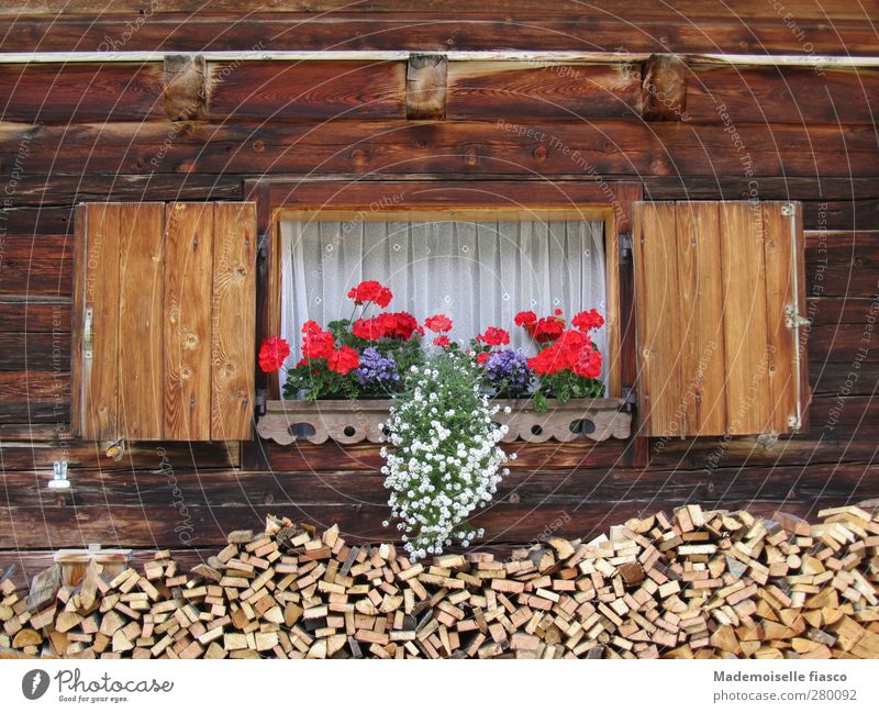 Window of a wooden hut with flower box Summer Flower Pot plant Alps Hut Window box Wood Blossoming Original Brown Red White Nature Vacation & Travel Style