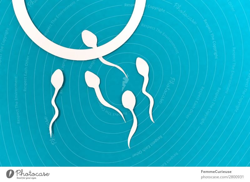 Reproduction - Sperm on their way to the egg cell Family & Relations Sex Sexuality Egg cell White Turquoise Propagation Symbols and metaphors Low-cut