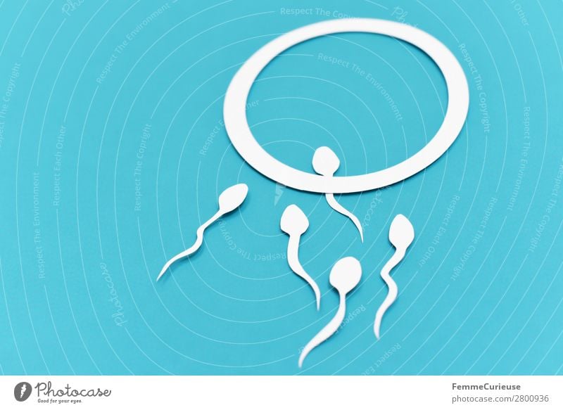 Reproduction - Sperm on their way to the egg cell Sign Sex Sexuality Egg cell White Turquoise Fertilization Fertile Childhood wish Family planning