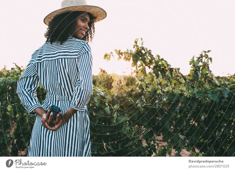 Woman standing in a path in the middle of a vineyard Winery Vineyard Bunch of grapes Stand Organic Harvest Happy Agriculture Green Accumulation Rural tasting