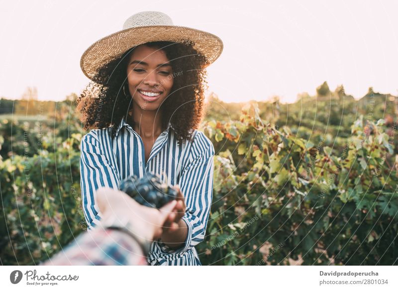 Woman sharing a bunch of grapes Winery Vineyard Bunch of grapes Stand Organic Share Laughter Harvest Love Agriculture Green Accumulation Rural tasting Spain