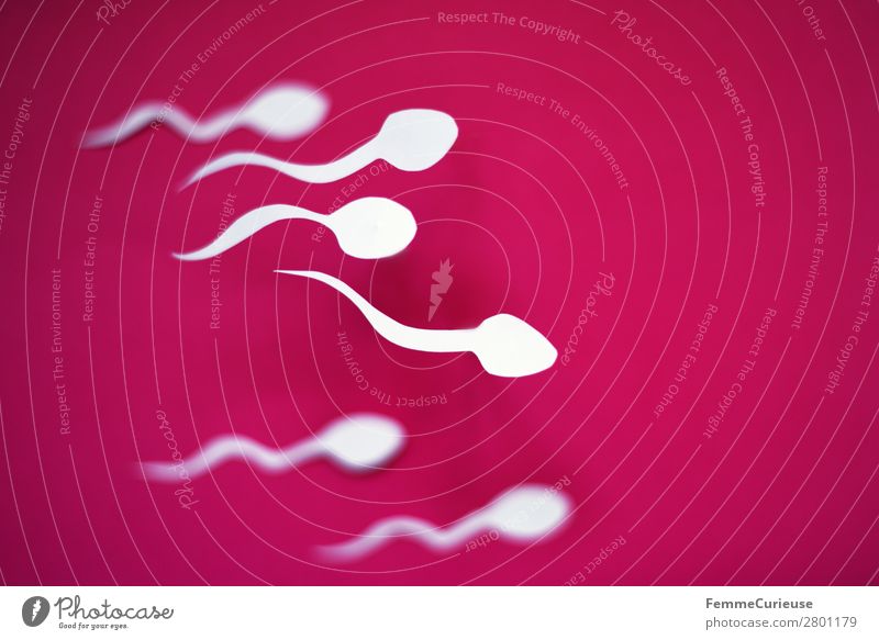 Reproduction - Swimming sperm Family & Relations Sex Sexuality Sperm Paper Low-cut White Pink Propagation Fertile Movement Offspring Childhood wish