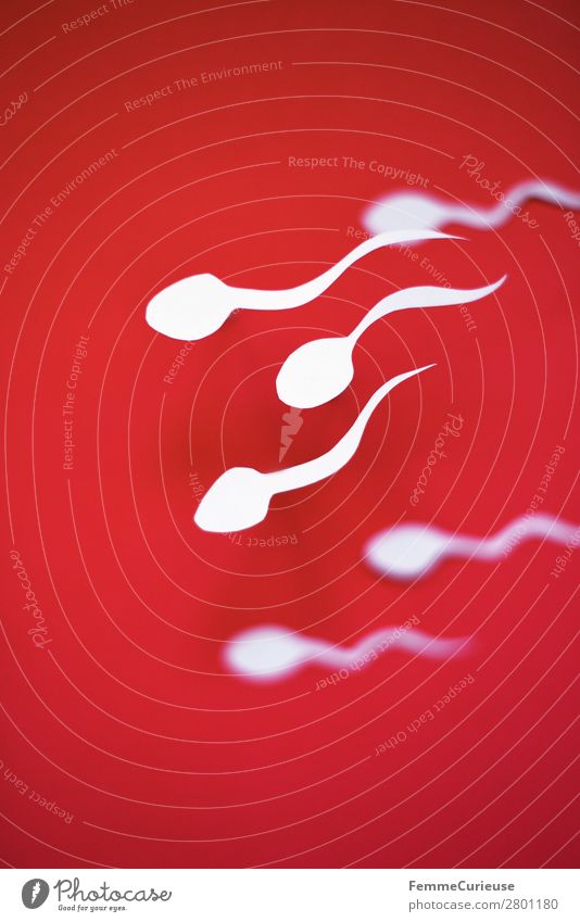 Swimming sperm on red background Sign Sex Sexuality Family planning Childhood wish Sperm Fertile Red White Paper Low-cut Symbols and metaphors Illustration