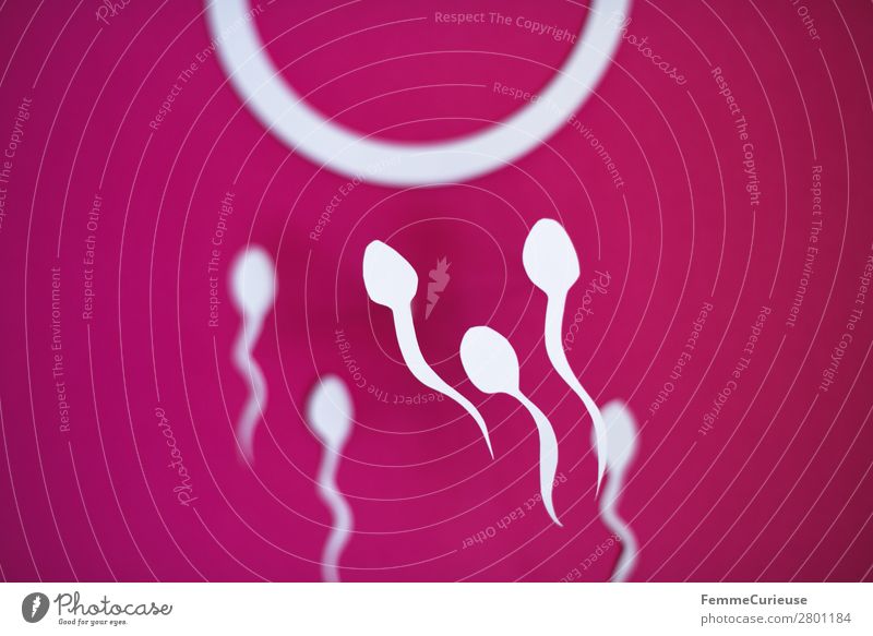 Reproduction - Sperm swimming to egg cell Sign Sex Sexuality Egg cell Paper Low-cut Symbols and metaphors Illustration Graph Pink White Propagation
