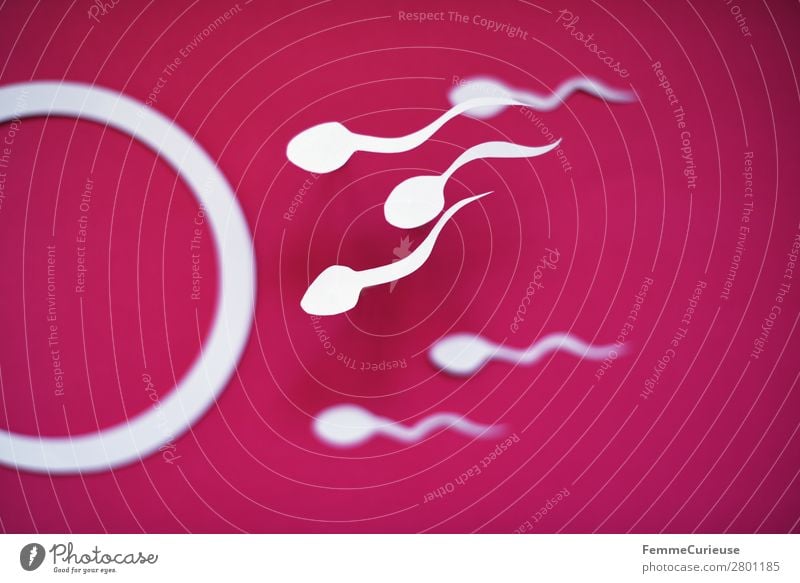 Reproduction - Sperm swimming to egg cell Sign Sex Sexuality Egg cell Biology Propagation Fertile Childhood wish Family planning Illustration Pink White