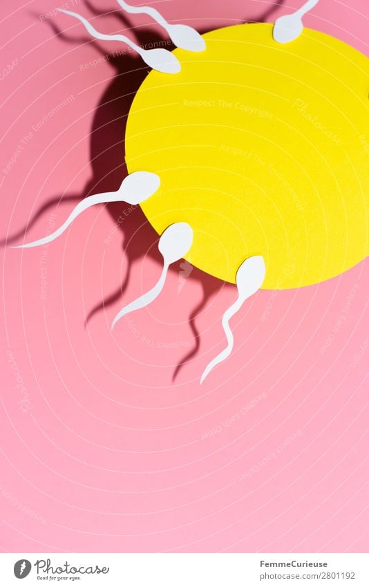 Reproduction - Sperm swimming to egg cell Sign Sex Sexuality Egg cell Pink Yellow Fertilization Childhood wish Family planning Fertile Symbols and metaphors