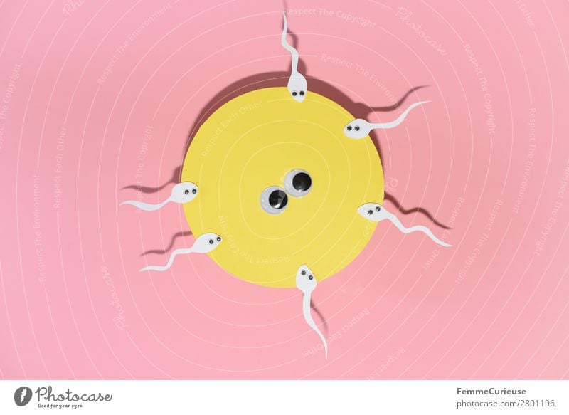 Reproduction - Sperm swimming to egg cell Sign Sex Sexuality Egg cell Pink Yellow Eyes wobbly eyes Fertilization Propagation Childhood wish Family planning