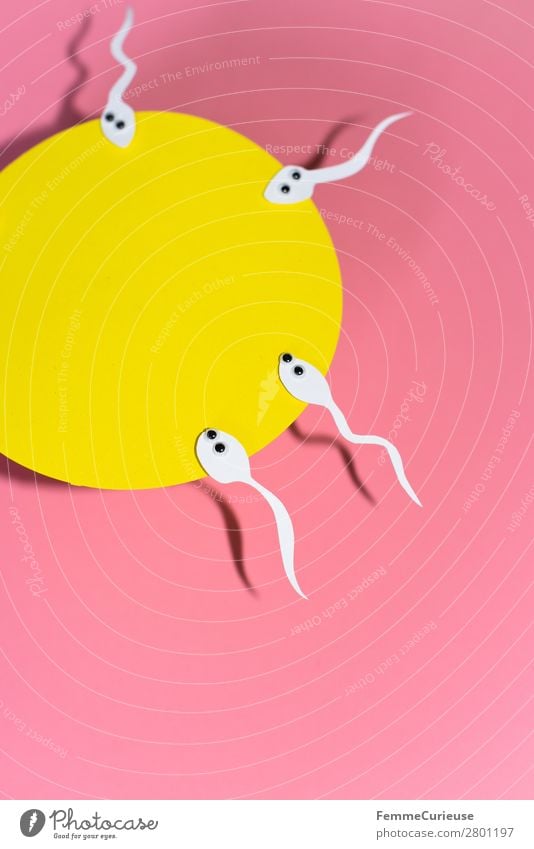 Reproduction - Sperm with wobbly eyes swimming to egg cell Family & Relations Sex Sexuality Eyes Paper Stationery Low-cut White Pink Yellow Egg cell Propagation