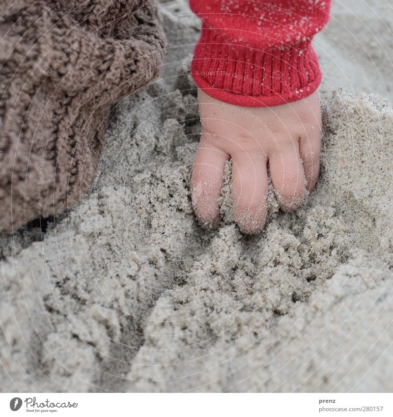 child's hand Human being Feminine Child Toddler Girl Hand Fingers 1 Brown Gray Red Sand Beach Muding Colour photo Exterior shot Close-up Copy Space bottom Day