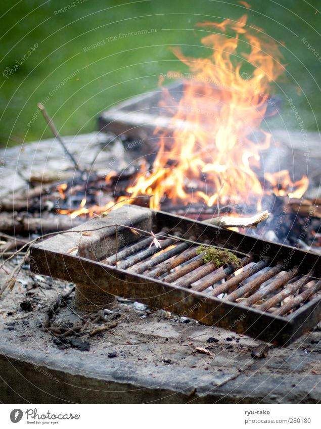 The women have made fire. Nature Meadow Hot Warmth Barbecue (event) Blaze Wood Branch Rust Metal grid Flame Relaxation Colour photo Exterior shot Deserted