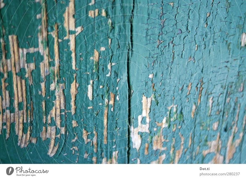 doorquoise Door Wood Old Turquoise Transience Dye Crack & Rip & Tear Flake off Layer of paint Derelict Colour photo Exterior shot Close-up Detail