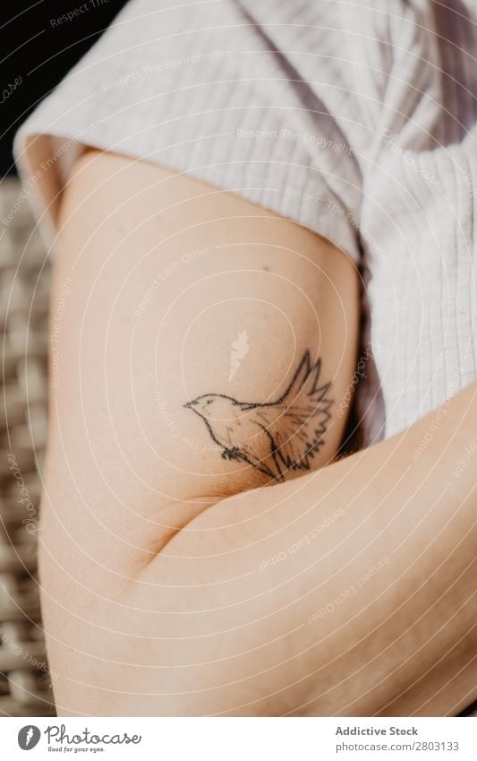 Bird tattoo on arm Tattoo Arm Woman Art Body Design Creativity Skin Small Outline Style Symbols and metaphors Sign decor Ornament Contemporary Drawing Model