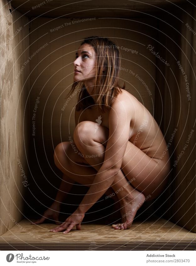 Nude woman in carton box Woman Naked Box Conceptual design Provocative confined Cardboard minimalist Closed Athletic Expression constrained Body caption