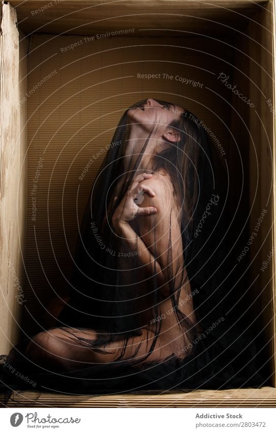 Sensual model under veil sitting in box Woman Veil Naked To enjoy Box Conceptual design Provocative Mysterious Carton Model minimalist Limit Frame Contemporary