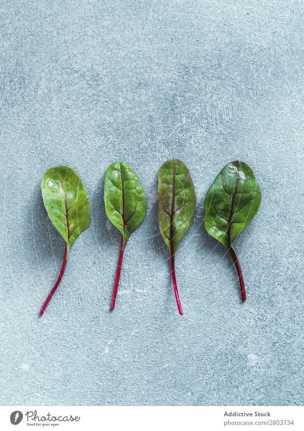 Set of green chard leaves or mangold isolated Mangold Red beet Leaf Background picture Salad Green Bird's-eye view Design Difference Food Fresh Organic Plant