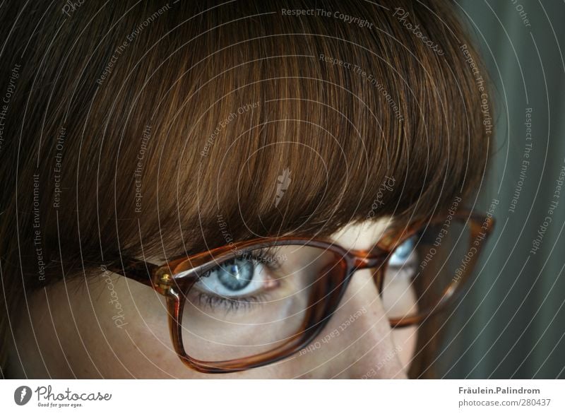 Perspective¹ Feminine Young woman Youth (Young adults) Woman Adults Hair and hairstyles Eyes 1 Human being 18 - 30 years Eyeglasses Brunette Red-haired Bangs
