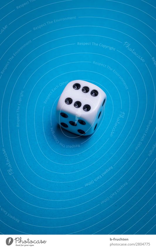 six Happy Leisure and hobbies Playing Toys Sign Looking Blue White Dice 6 Point Game of chance Throw dice Colour photo Interior shot Studio shot Close-up