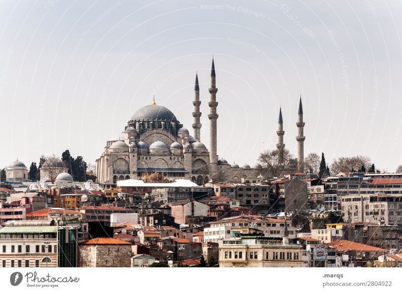 Istanbul Vacation & Travel Tourism Trip Sightseeing City trip Sky Downtown House (Residential Structure) Building Architecture Mosque Minaret Politics and state