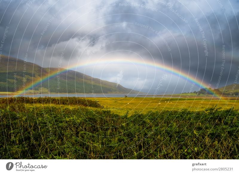 Rainbow with sheep on the Isle of Skye in Scotland Atlantic Ocean Atmosphere Vantage point Arch Multicoloured Gold Great Britain Climate Climate change Coast