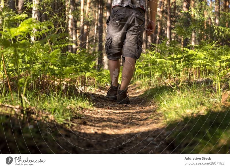 Man of adventure in the forest on a sunny spring day Forest Nature Walking Mountain trekking Human being Youth (Young adults) Sunbeam Hiking Park Beautiful