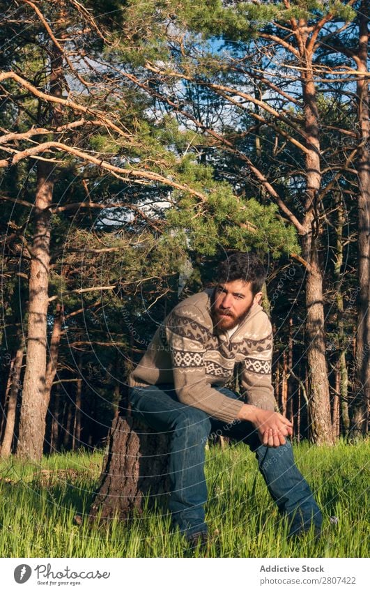 Young man in the woods enjoying a sunny afternoon Man Grass Park Forest pines Spring Lifestyle Day Nature Green Human being Background picture Sun Serene