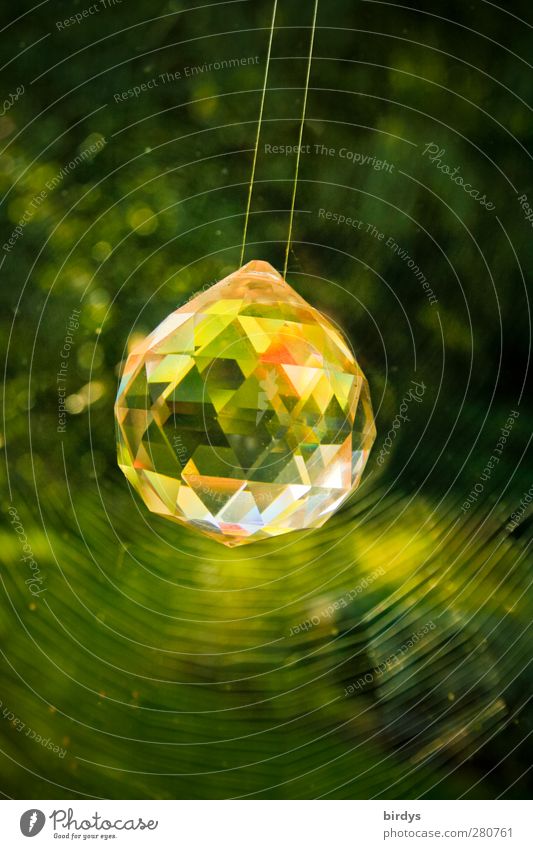 1000/2 carat Style Decoration Plant Glittering Illuminate Esthetic Positive Rich Beautiful Multicoloured Green Art Pure Swing Crystal Crystal ball Spider's web
