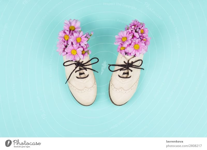 Brogue shoes filled with pink daisies and wildflowers Style Pastel tone Blossom Flower Art Footwear Chrysanthemum Flat (apartment) Leather faux Seasons Nature