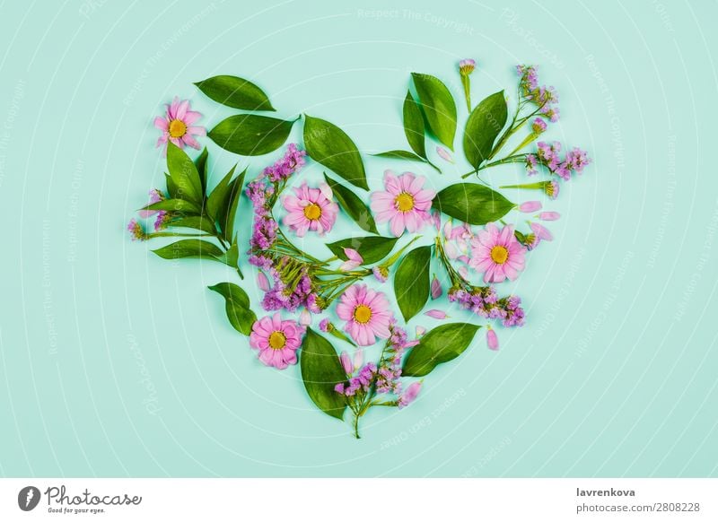 Heart made of leaves, violet and pink flowers Love Romance Meadow flower Chrysanthemum Structures and shapes Green Bouquet Beauty Photography Plant Decoration