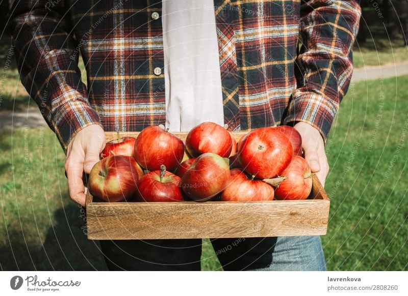Man in plaid shirt holding wooden box with organic apples Apple Pick Faceless Grass Autumn Hand Vegetarian diet Diet Agriculture Harvest Farmer Checkered Tray