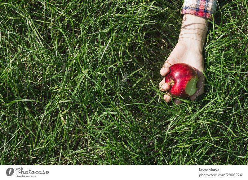 Flat lay with woman's hand holding bitten apple Bite Checkered Nature Picnic Pick Apple Hand Grass Colour Meadow Exterior shot Organic Background picture