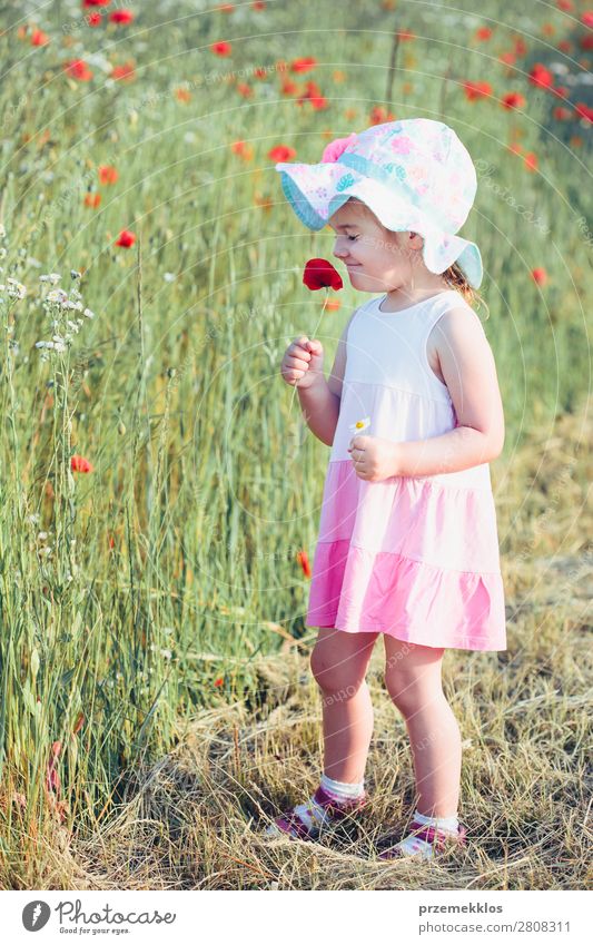 Lovely little girl in the field of wild flowers Lifestyle Joy Happy Beautiful Summer Garden Child Human being Woman Adults Parents Mother Family & Relations 1