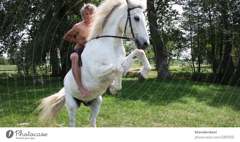 "Birk Borkason" Joy Happy Athletic Leisure and hobbies Ride Adventure Sun Equestrian sports Masculine Young man Youth (Young adults) Body Nature Summer Bushes