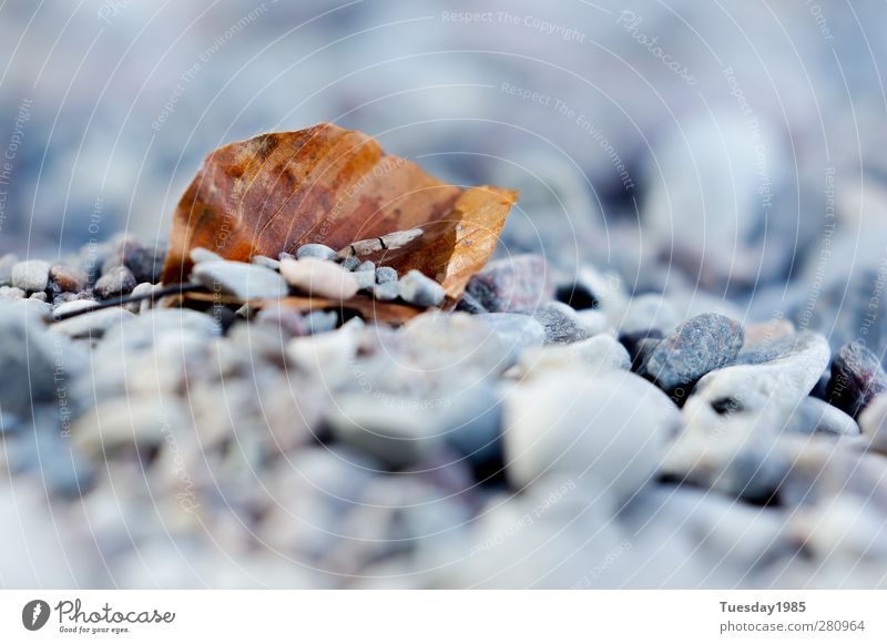 stone blanket Environment Nature Earth Sand Spring Summer Autumn Athletic Uniqueness Cold Near Colour photo Subdued colour Multicoloured Day Blur