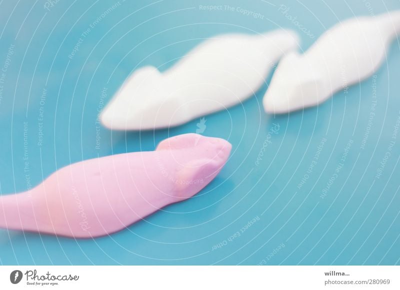 Attention, wrong-way drivers! Sugar mice in the fast lane. Food Candy foam sugar Wine gum Nutrition Delicious Sweet Pink White Equal Uniqueness Mouse Turquoise
