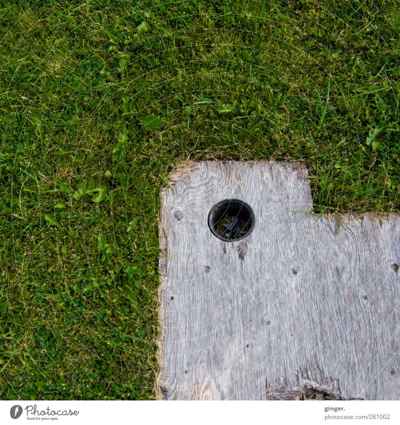 Hole in the wood on lawn Meadow Brown Gray Green Lower Wood Wooden board To anchor Construction Hollow Bracket Corner Old Colour photo Subdued colour