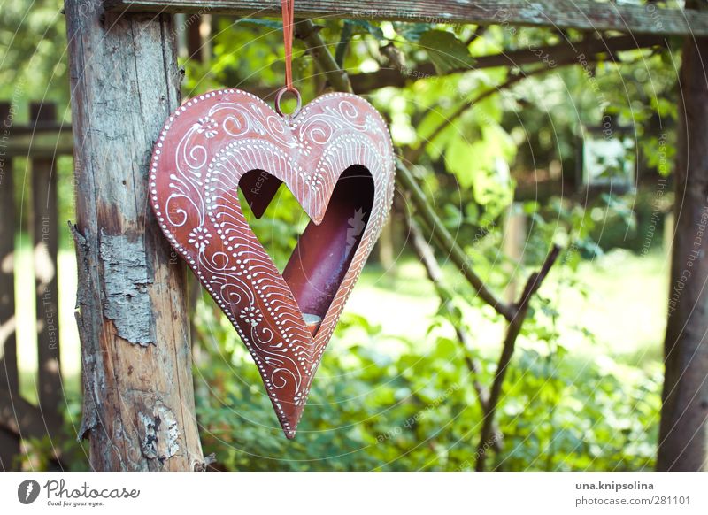 With heart Living or residing Garden Plant Bushes Wood Metal Ornament Heart Hang Friendliness Natural Beautiful Green Red Love Decoration Colour photo
