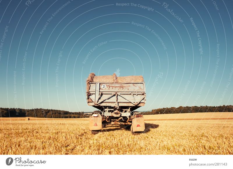 appendix Grain Summer Agriculture Forestry Environment Nature Landscape Sky Horizon Beautiful weather Warmth Agricultural crop Field Vehicle Truck Trailer