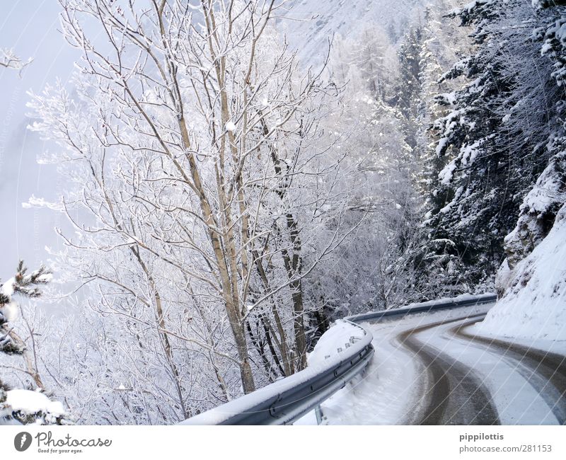 White curves Vacation & Travel Tourism Trip Winter Snow Winter vacation Mountain Climbing Mountaineering Environment Nature Landscape Weather Ice Frost Forest