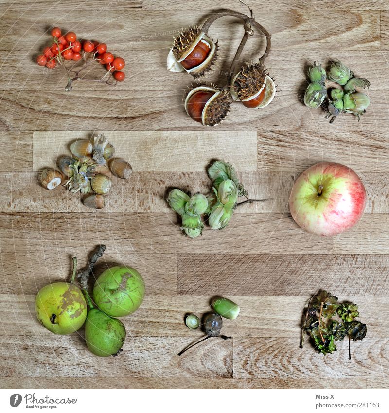 autumn collection Food Fruit Apple Nutrition Autumn Leaf Brown Multicoloured Pear Wood Collection Acorn Hazelnut Berries Rawanberry Chestnut Autumnal