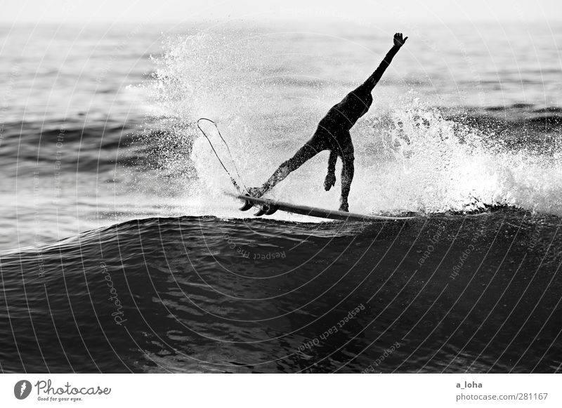 Golden Ride Lifestyle Summer Ocean Waves Sports Aquatics Sportsperson Surfboard Human being Man Adults 1 Nature Elements Water Beautiful weather Coast Movement