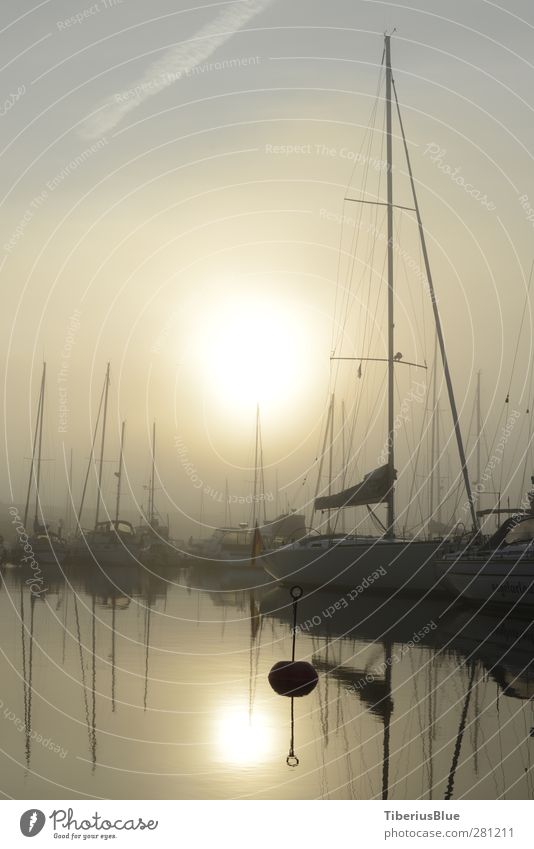 Morning fog in the port of Ystad Water Sky Sun Sunlight Autumn Fog Baltic Sea Harbour Yacht Yacht harbour Esthetic Romance Longing Wanderlust Mysterious Nature