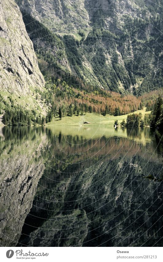 Upper Lake Landscape Nature Water Reflection Mountain Alps Berchtesgaden Berchtesgaden Alpes National Park Bavaria salet Alpine pasture Lake Königssee Rock