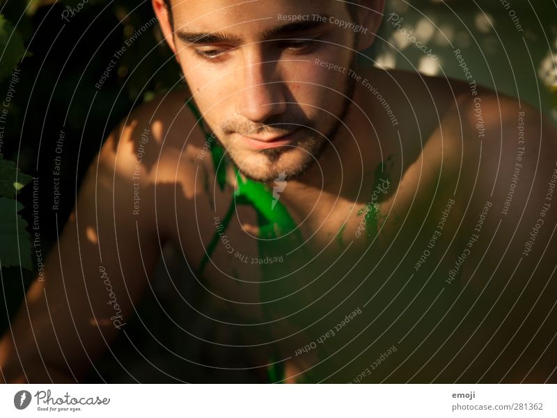 evening light Young man Youth (Young adults) Face 1 Human being 18 - 30 years Adults Beautiful weather Exceptional Green Bodypainting Colour photo Exterior shot