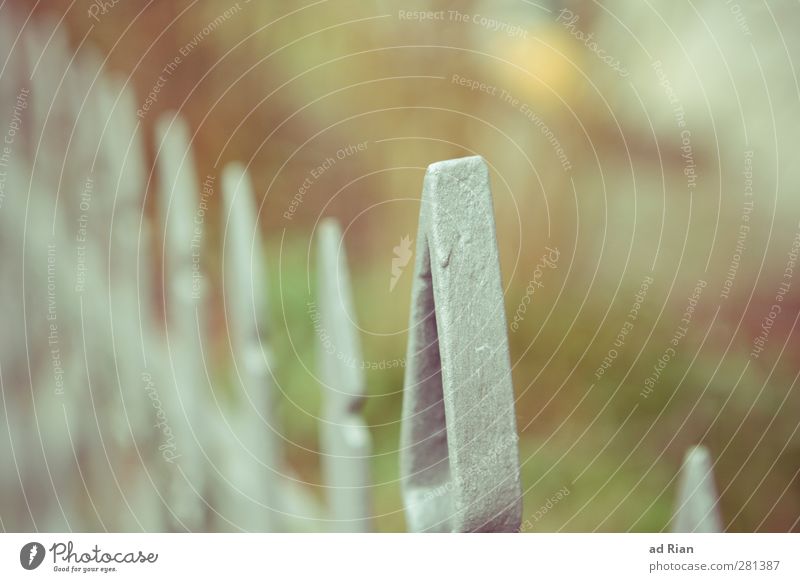 demarcation Garden Nature Park Meadow Fence Fence post Esthetic Colour photo Exterior shot Copy Space top Day Silhouette Shallow depth of field Long shot