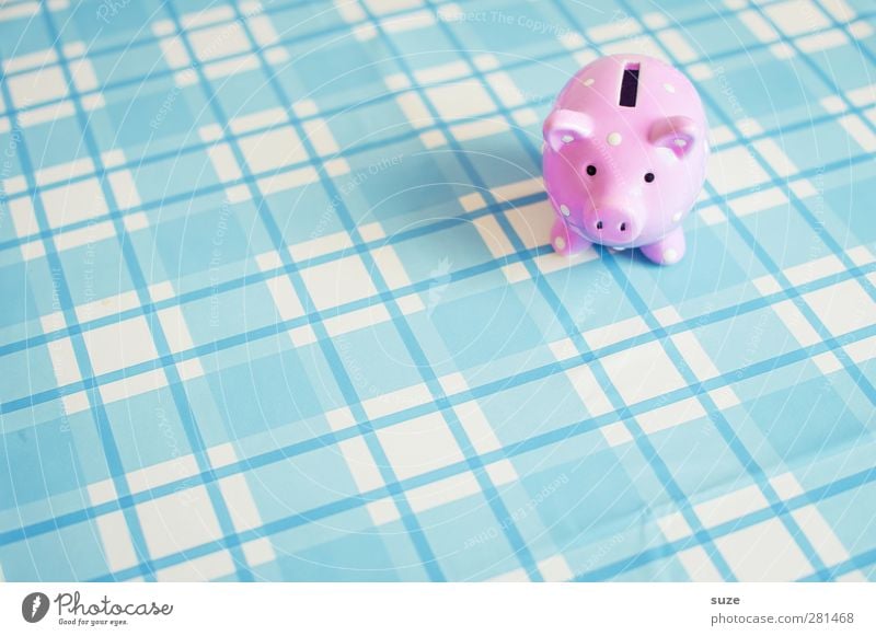little sow Lifestyle Shopping Design Happy Money Save Decoration Plastic Poverty Kitsch Small Funny Cute Rich Blue Pink Tight-fisted Crisis Swine Money box